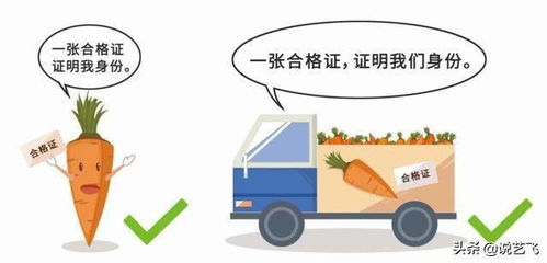 武汉开出首批食用农产品电子合格证 科技赋能守护“舌尖上的安全”